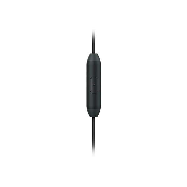 Philips Rich Bass In-Ear Earphones