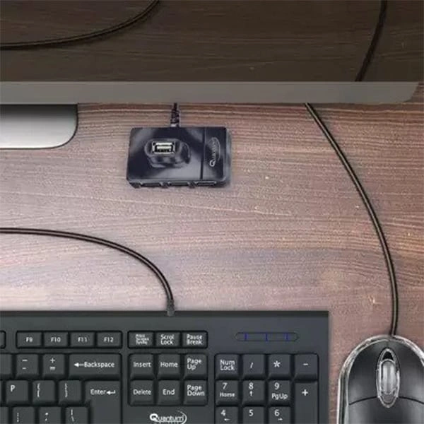 Quantum 4 Ports USB HUB 6560 with 480 Mbps