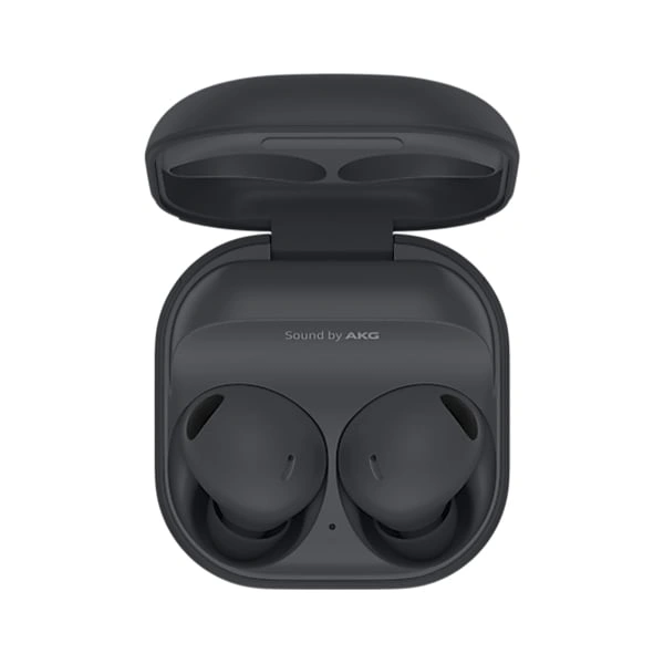 Samsung Galaxy Buds 2 Pro Bluetooth Truly Wireless in Ear Earbuds - Graphite - Graphite