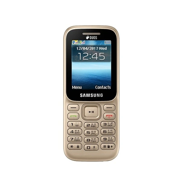 Samsung Guru Music 2 GT-B315 Feature Phone - Gold - Gold