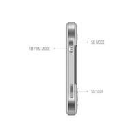 Carvaan Saregama Carvaan Go MP3 Player