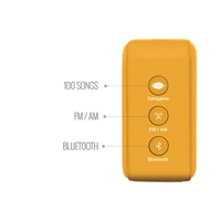 Carvaan Saregama Carvaan Gurbani Music Player
