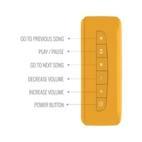 Carvaan Saregama Carvaan Gurbani Music Player