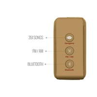 Carvaan Saregama Carvaan Mini 2.0 Assamese Music Player