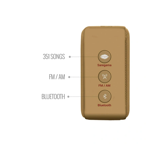 Carvaan Saregama Carvaan Mini 2.0 Assamese Music Player