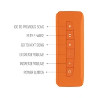 Carvaan Saregama Carvaan Mini 2.0 Ganesh Speaker