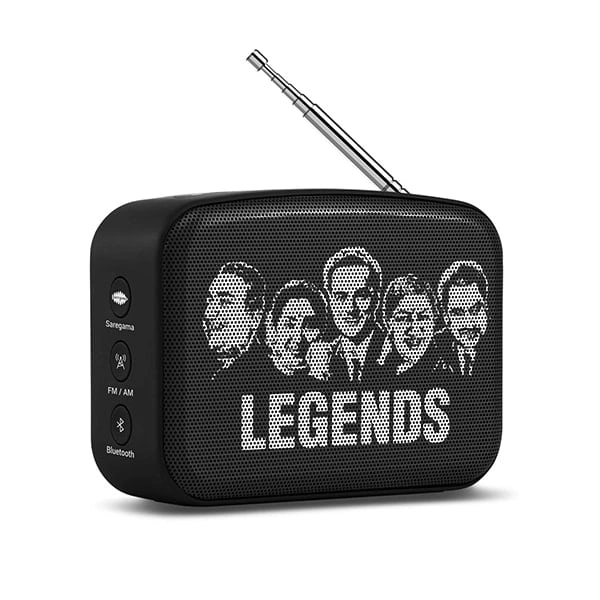 Carvaan Saregama Carvaan Mini Hindi 2.0- Music Player - Blue - Blue