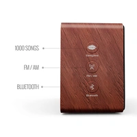 Carvaan Saregama Carvaan Mini Plus 10W Music Player