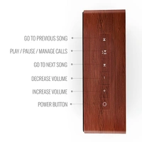 Carvaan Saregama Carvaan Mini Plus 10W Music Player