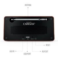 Carvaan Saregama Carvaan Mini Plus 10W Music Player