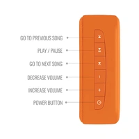 Carvaan Saregama Carvaan Mini Shri Ram Portable Music Player