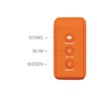 Carvaan Saregama Carvaan Mini Shrimad Bhagavad Gita