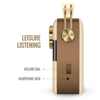 Carvaan Saregama Carvaan SC130 Hindi Portable Music Player