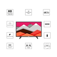 Skywall SkyWall 24SWN 60.96 cm (24 inches) HD Ready LED TV