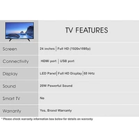 Skywall SkyWall 24SWN 60.96 cm (24 inches) HD Ready LED TV
