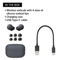 Sony LinkBuds S WF-LS900N Truly Wireless Noise Cancellation Earbuds - Beige - Beige