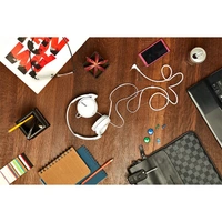 Sony MDR-ZX110A Wired On Ear Headphone