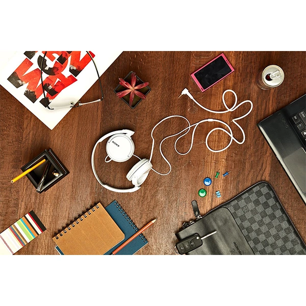 Sony MDR-ZX110A Wired On Ear Headphone