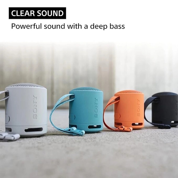 Sony SRS-XB100 Wireless Bluetooth Portable Speaker - Orange - Orange