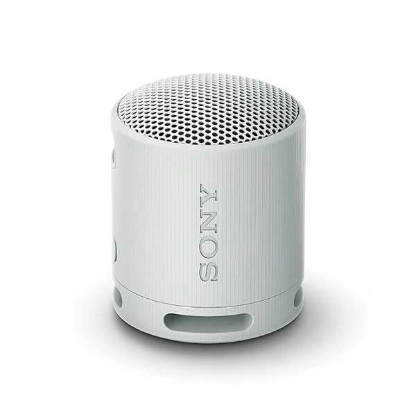 Sony SRS-XB100 Wireless Bluetooth Portable Speaker - Silver - Silver