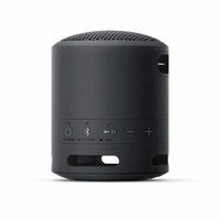 Sony SRS-XB13 Wireless Extra Bass Bluetooth Speaker - Taupe - Taupe