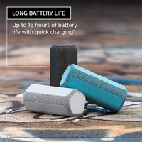 Sony SRS-XE200 X-Series Bluetooth Speaker - Light Grey - Light Grey