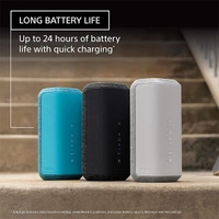 Sony SRS-XE300 X-Series Bluetooth Speaker - Light Grey - Light Grey