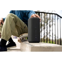 Sony SRS-XE300 X-Series Bluetooth Speaker - Light Grey - Light Grey