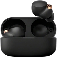 Sony WF-1000XM4 Noise Canceling Truly Wireless Earbuds - Silver - Silver