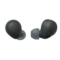 Sony WF-C700N Bluetooth Truly Wireless Lightest Active Noise Cancellation in Ear Earbuds - sage green - sage green