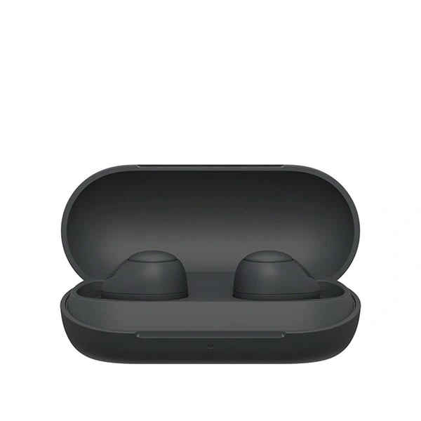 Sony WF-C700N Bluetooth Truly Wireless Lightest Active Noise Cancellation in Ear Earbuds - sage green - sage green
