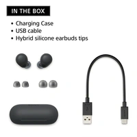 Sony WF-C700N Bluetooth Truly Wireless Lightest Active Noise Cancellation in Ear Earbuds - sage green - sage green