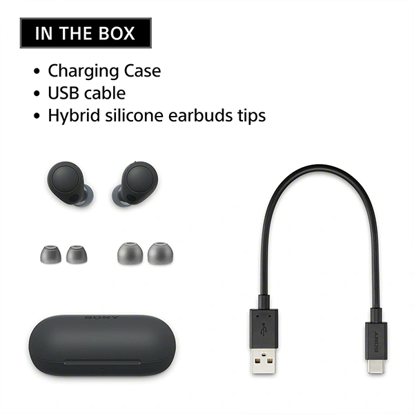 Sony WF-C700N Bluetooth Truly Wireless Lightest Active Noise Cancellation in Ear Earbuds - sage green - sage green