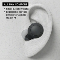 Sony WF-C700N Bluetooth Truly Wireless Lightest Active Noise Cancellation in Ear Earbuds - sage green - sage green