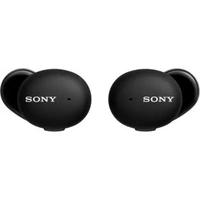 Sony WF-H800 True Wireless Earbuds