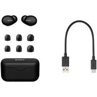 Sony WF-H800 True Wireless Earbuds