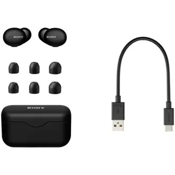 Sony WF-H800 True Wireless Earbuds