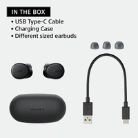 Sony WF-XB700 Bluetooth Wireless Earbuds - Black - Black