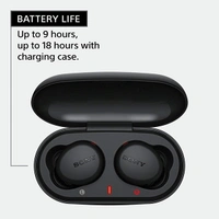 Sony WF-XB700 Bluetooth Wireless Earbuds - Black - Black