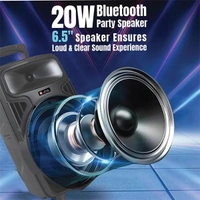 Swiss Military Audio BOOM Trolly Speaker - Beige, Green Blue, Pink