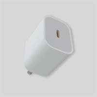 Swiss Military VOLTAIC 20 Watts Type C Port Adapter