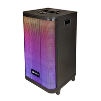 Toreto Revel 100 Party Speaker