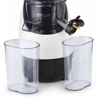 Usha CPJ 382S NutriPress Cold Press Juicer
