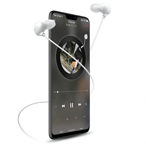 Vivo XE710 Wired Type C Earphones