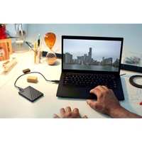 WD My Passport 2 TB External Hard Disk Drive
