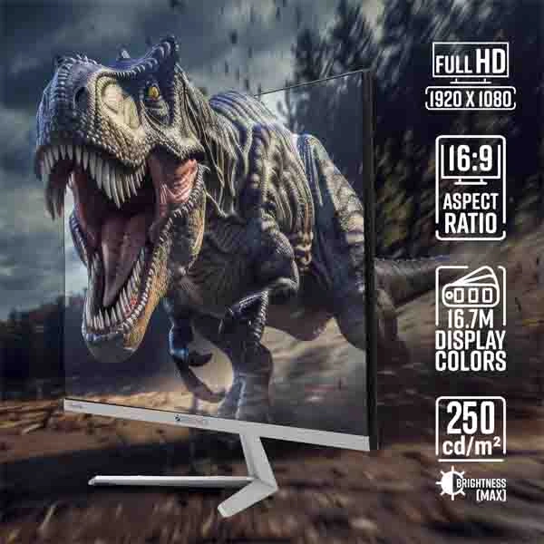 Zebronics A24FHD LED Monitor
