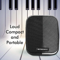 Zebronics Fame 5 Watt Laptop/Desktop Speaker