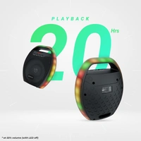 Zebronics Sound Feast 60 10W Output Speaker