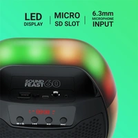 Zebronics Sound Feast 60 10W Output Speaker