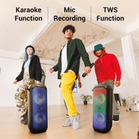 Zebronics Vigor Portable Bluetooth Speaker